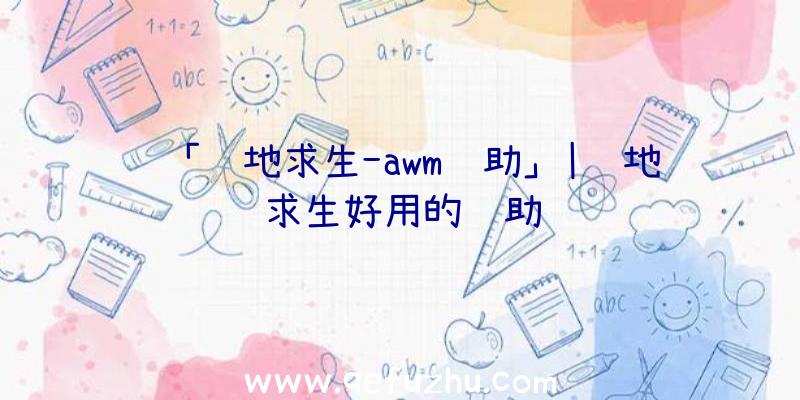 「绝地求生-awm辅助」|绝地求生好用的辅助